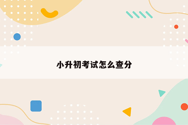 小升初考试怎么查分