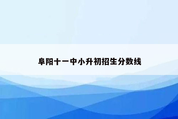 阜阳十一中小升初招生分数线