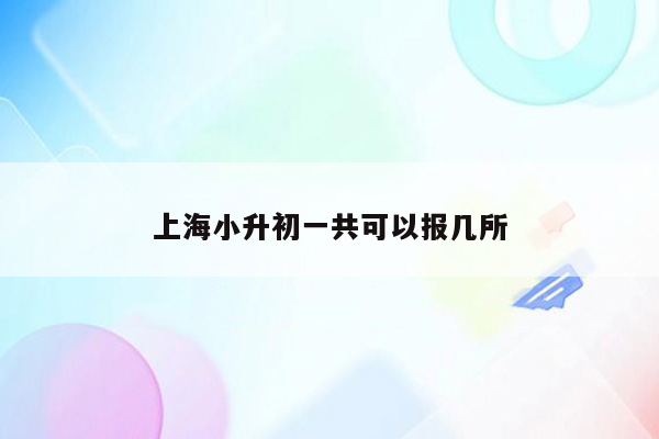 上海小升初一共可以报几所