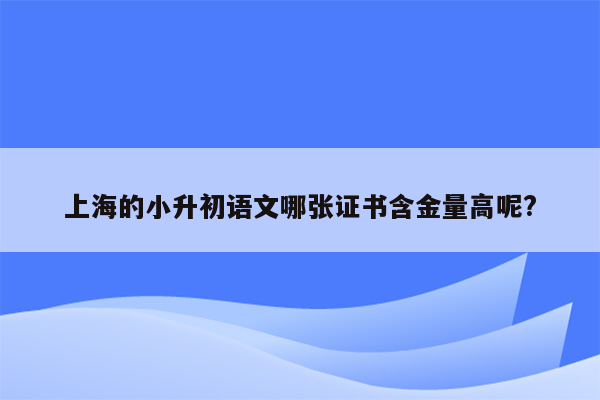 上海的小升初语文哪张证书含金量高呢?