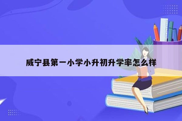 威宁县第一小学小升初升学率怎么样