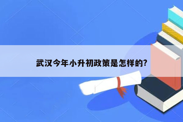 武汉今年小升初政策是怎样的?