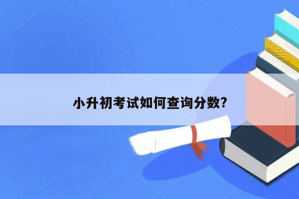 小升初考试如何查询分数?