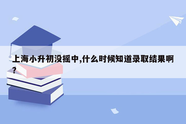 上海小升初没摇中,什么时候知道录取结果啊?