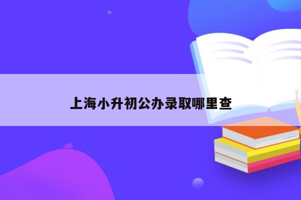 上海小升初公办录取哪里查