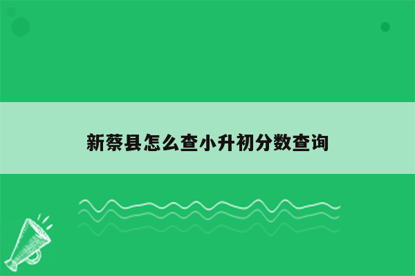 新蔡县怎么查小升初分数查询