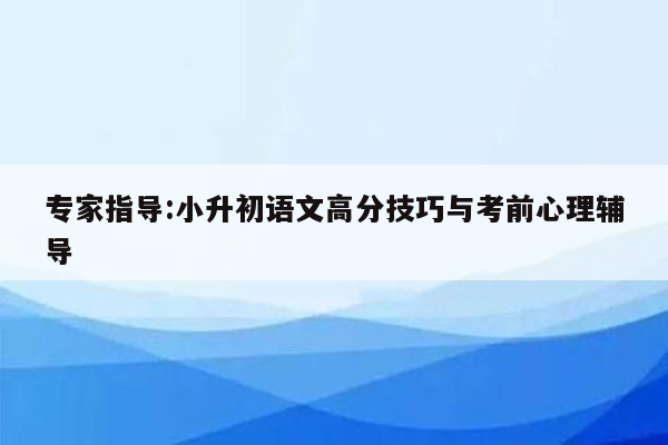 专家指导:小升初语文高分技巧与考前心理辅导