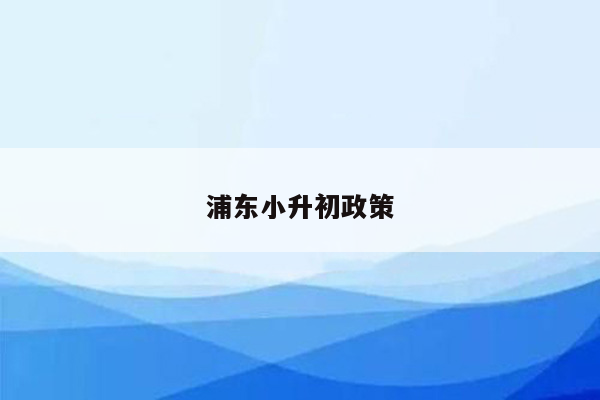 浦东小升初政策