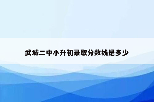 武城二中小升初录取分数线是多少