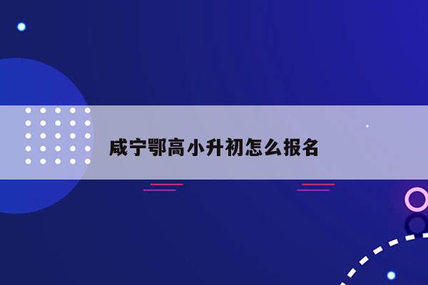 咸宁鄂高小升初怎么报名