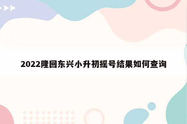 2022隆回东兴小升初摇号结果如何查询