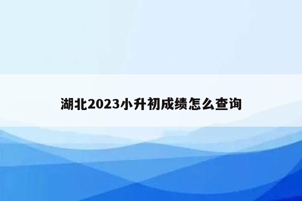 湖北2023小升初成绩怎么查询