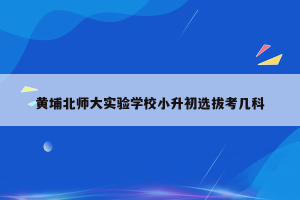 黄埔北师大实验学校小升初选拔考几科