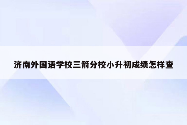 济南外国语学校三箭分校小升初成绩怎样查