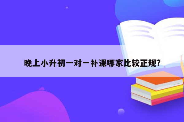 晚上小升初一对一补课哪家比较正规?