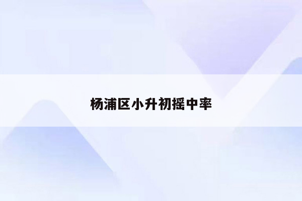 杨浦区小升初摇中率