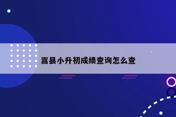 嵩县小升初成绩查询怎么查