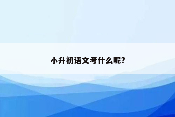 小升初语文考什么呢?