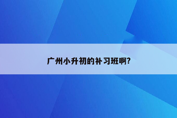 广州小升初的补习班啊?