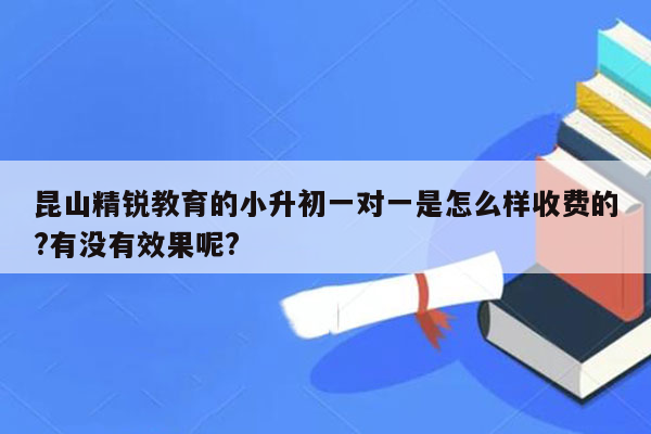 昆山精锐教育的小升初一对一是怎么样收费的?有没有效果呢?