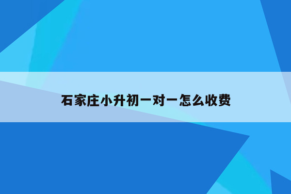 石家庄小升初一对一怎么收费