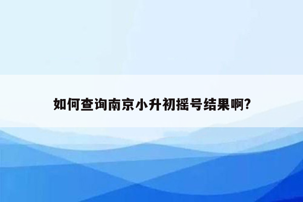 如何查询南京小升初摇号结果啊?