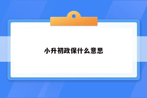 小升初政保什么意思