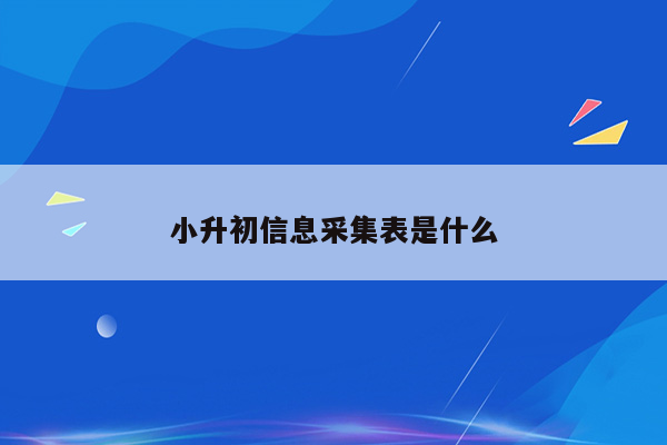 小升初信息采集表是什么