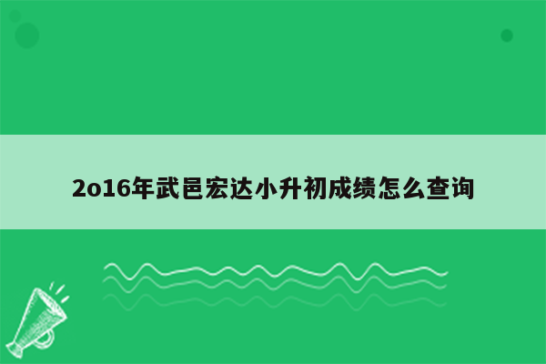 2o16年武邑宏达小升初成绩怎么查询