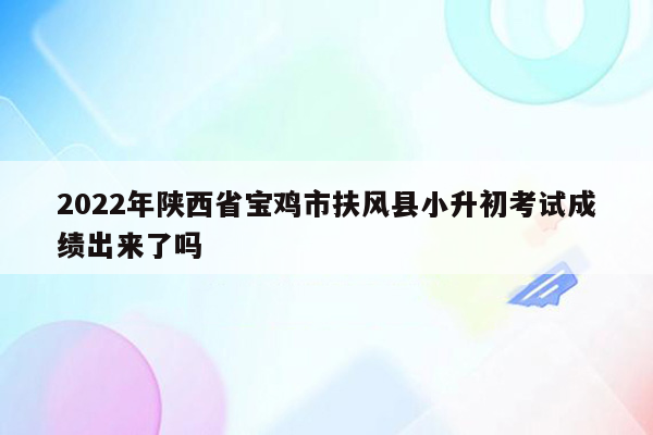 2022年陕西省宝鸡市扶风县小升初考试成绩出来了吗