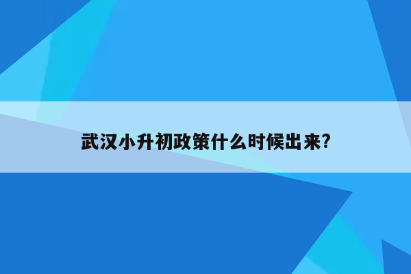 武汉小升初政策什么时候出来?