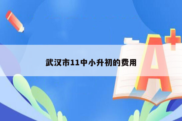 武汉市11中小升初的费用