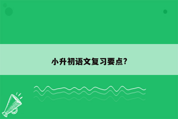 小升初语文复习要点?