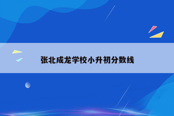 张北成龙学校小升初分数线