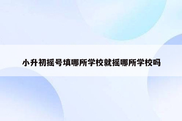 小升初摇号填哪所学校就摇哪所学校吗