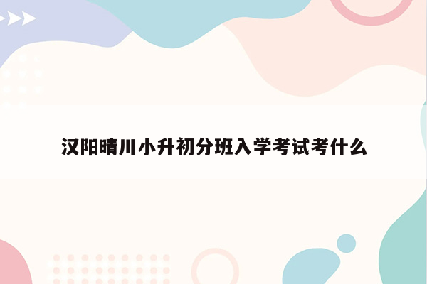 汉阳晴川小升初分班入学考试考什么