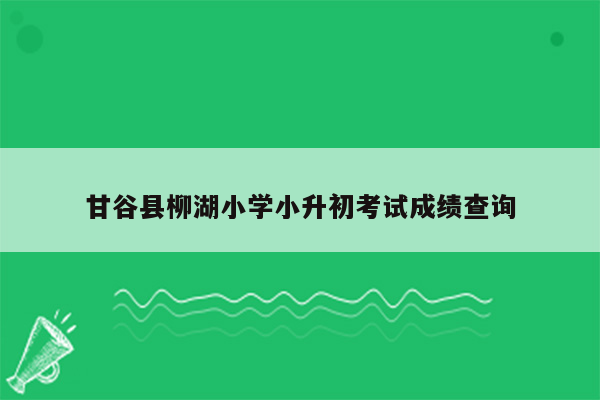 甘谷县柳湖小学小升初考试成绩查询