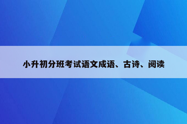 小升初分班考试语文成语、古诗、阅读