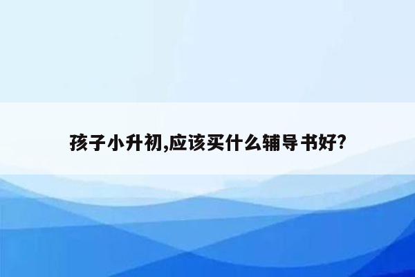 孩子小升初,应该买什么辅导书好?