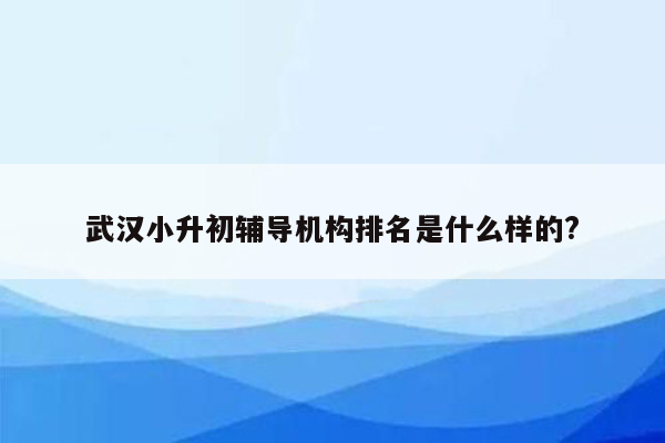 武汉小升初辅导机构排名是什么样的?