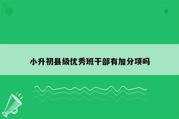 小升初县级优秀班干部有加分项吗