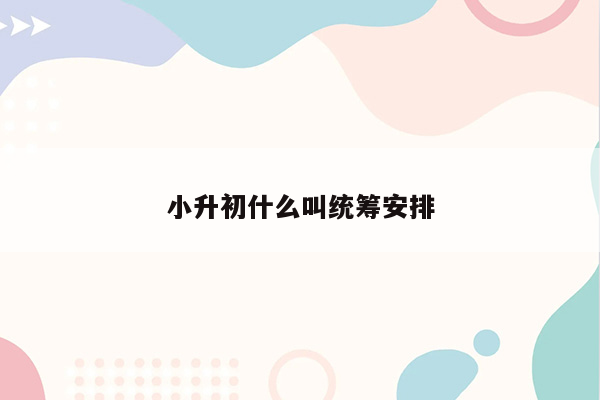 小升初什么叫统筹安排