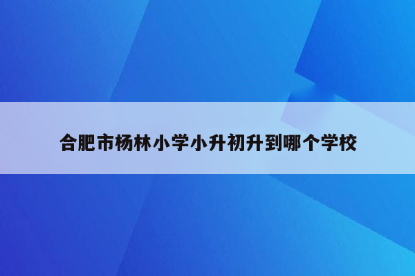 合肥市杨林小学小升初升到哪个学校