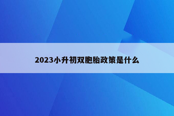 2023小升初双胞胎政策是什么