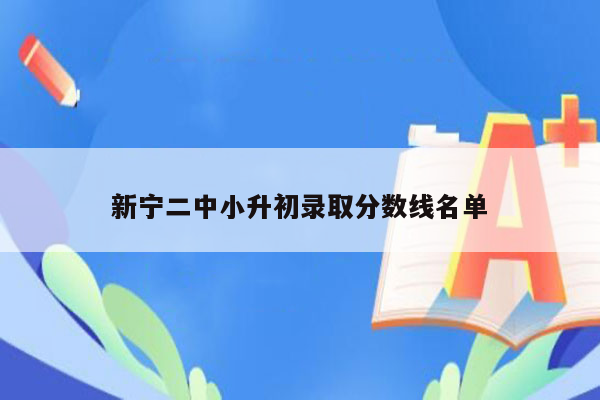 新宁二中小升初录取分数线名单