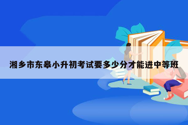 湘乡市东皋小升初考试要多少分才能进中等班