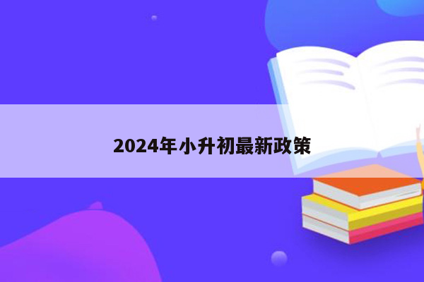 2024年小升初最新政策