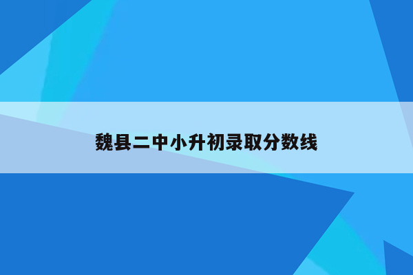 魏县二中小升初录取分数线