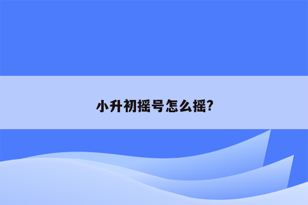 小升初摇号怎么摇?