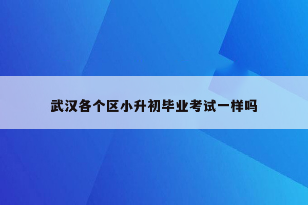 武汉各个区小升初毕业考试一样吗